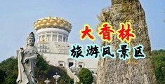 熟妇操逼视频中国浙江-绍兴大香林旅游风景区